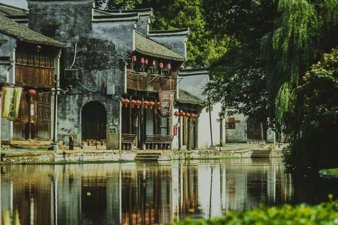 机智问答网页-解答你的问题荷兰豆怎么炒